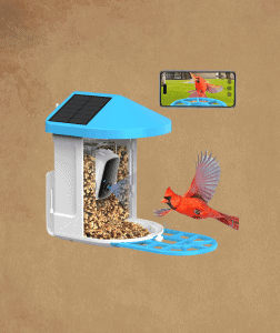 Bird Feeder with Camera