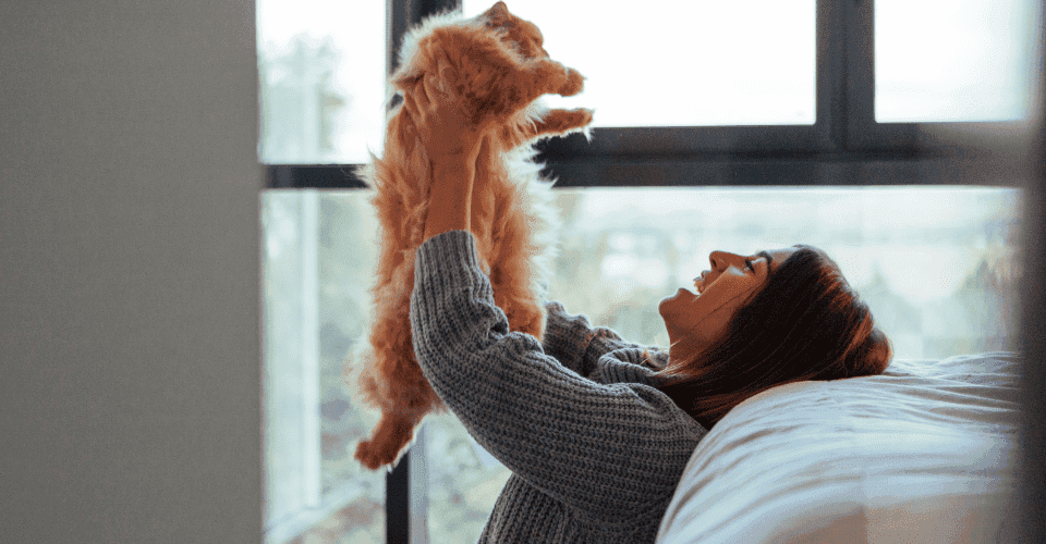 Playing with Cat